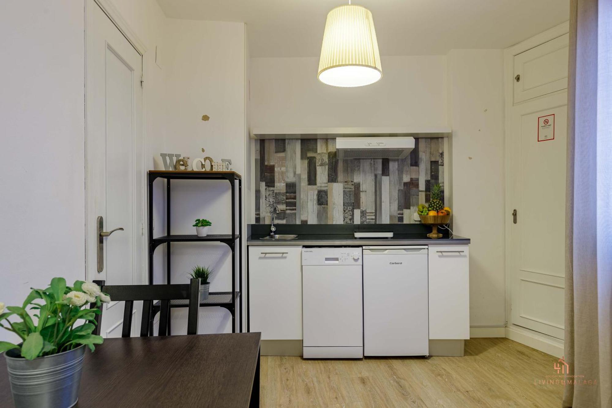 Living4Malaga Malaga Serenity Экстерьер фото